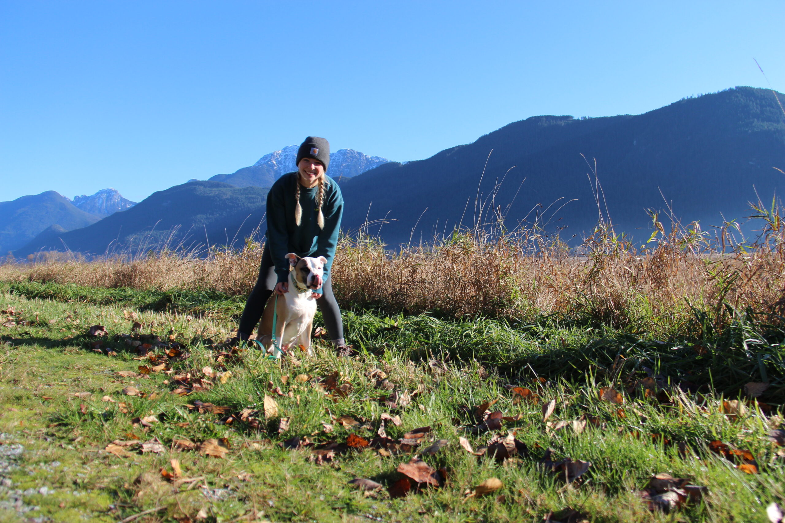Vancouver Dog Training